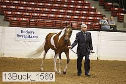 13buck_1569 proof