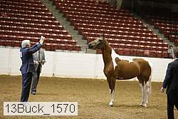 13buck_1570 proof