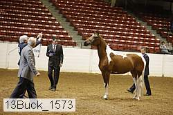 13buck_1573 proof
