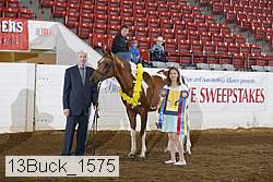 13buck_1575 proof