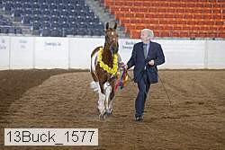 13buck_1577 proof