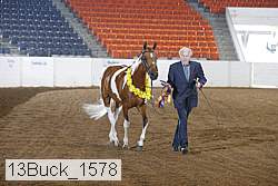 13buck_1578 proof