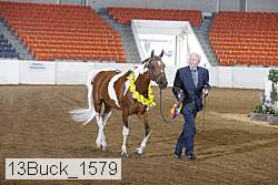 13buck_1579 proof