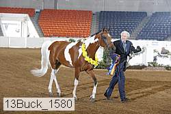 13buck_1580 proof