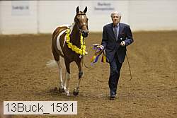 13buck_1581 proof