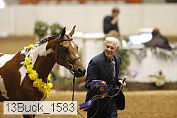 13buck_1583 proof