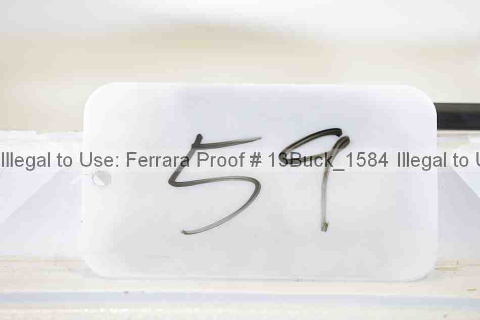 Proof 13buck_1584