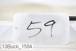 13buck_1584 proof