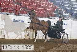 13buck_1585 proof