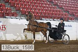 13buck_1586 proof