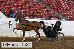13buck_1589 proof