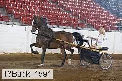 13buck_1591 proof