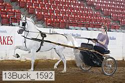 13buck_1592 proof