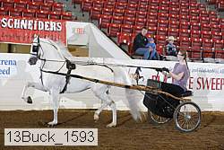 13buck_1593 proof