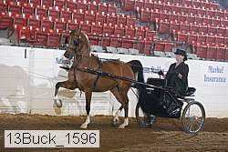 13buck_1596 proof
