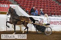 13buck_1598 proof