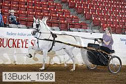13buck_1599 proof