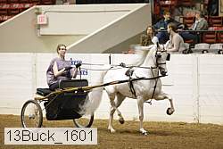 13buck_1601 proof