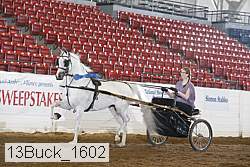 13buck_1602 proof