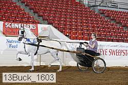 13buck_1603 proof