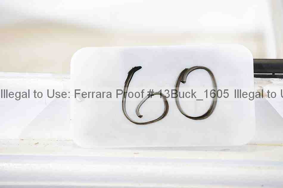 Proof 13buck_1605