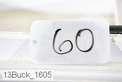 13buck_1605 proof