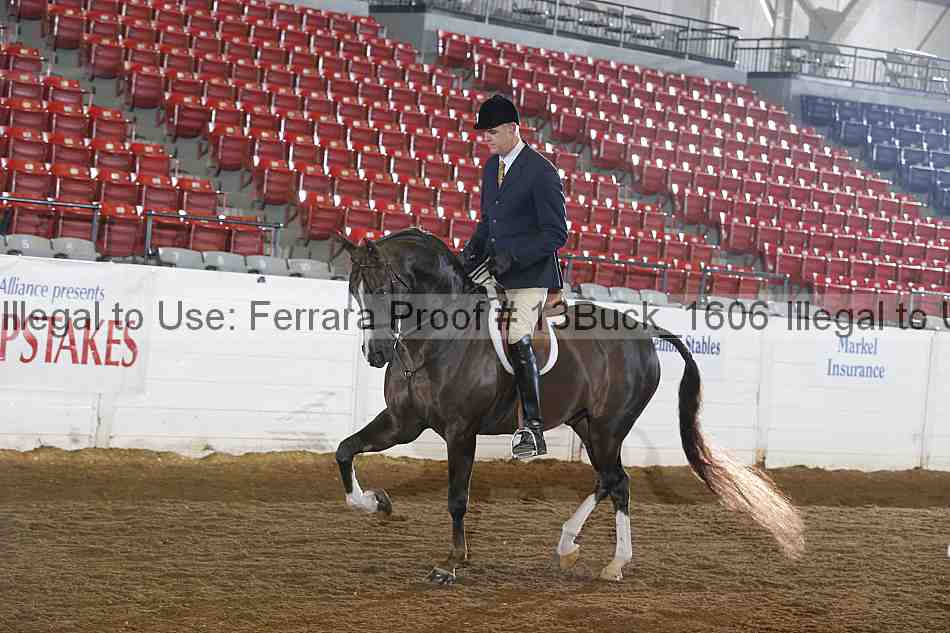 Proof 13buck_1606