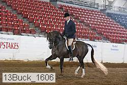 13buck_1606 proof