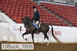 13buck_1608 proof