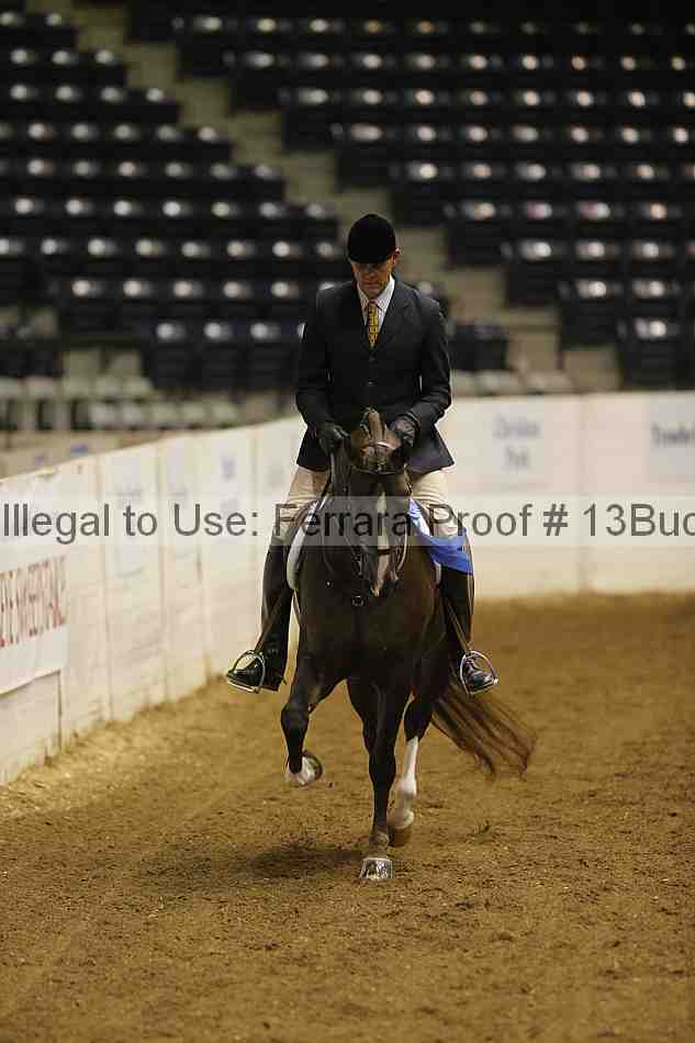 Proof 13buck_1609