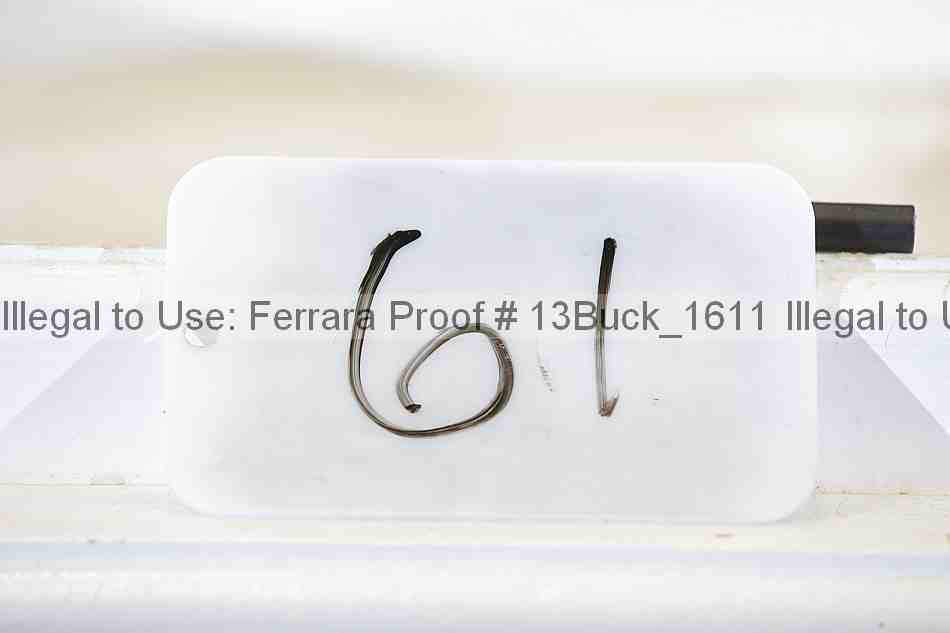 Proof 13buck_1611