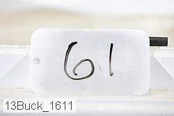 13buck_1611 proof