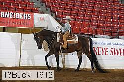 13buck_1612 proof