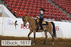 13buck_1617 proof