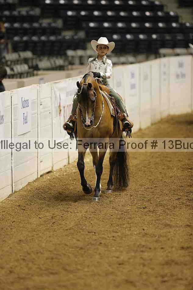 Proof 13buck_1618