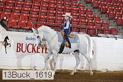 13buck_1619 proof