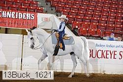 13buck_1621 proof