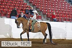 13buck_1625 proof