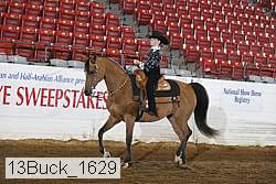 13buck_1629 proof