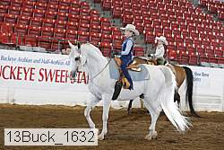 13buck_1632 proof