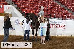 13buck_1637 proof