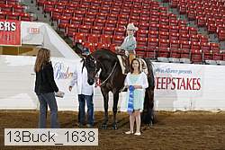 13buck_1638 proof