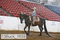 13buck_1639 proof
