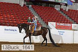 13buck_1641 proof
