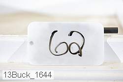 13buck_1644 proof