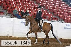 13buck_1645 proof