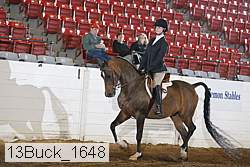 13buck_1648 proof