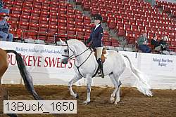 13buck_1650 proof