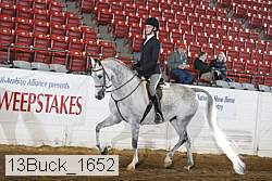 13buck_1652 proof
