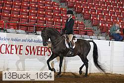 13buck_1654 proof